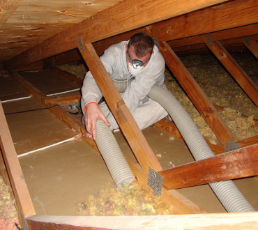 Insulation Removal